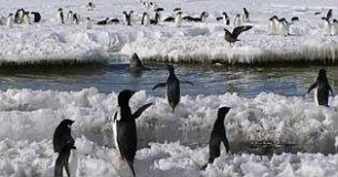 Encounters at the End of the World