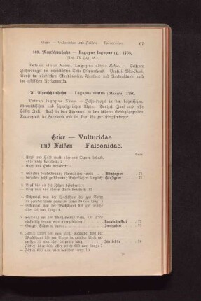 Geier - Vulturidae und Falken - Falconidae.