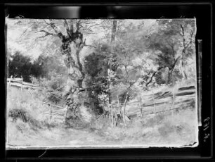 Landschaft mit Baum und Zaun