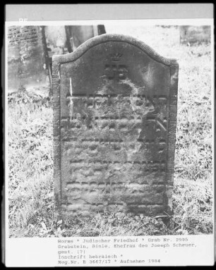 Grabstein von Binle, Ehefrau des Joseph Scheuer
