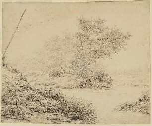 Landschaft mit Bäumen und Sträuchern