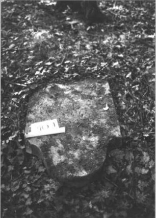 Grabstein 401 (Index: 99898303) Material: Sandstein Zustand: Stein liegt auf der Vorderseite Maße HxBxT: 122x58x11 cm Beschreibung: Stele mit Konvexbogenabschluss, umgestürzt, liegt auf der Vorderseite Besonderheit: vermutete Identifizierung nach Gräberverzeichnis: Grabstein 401