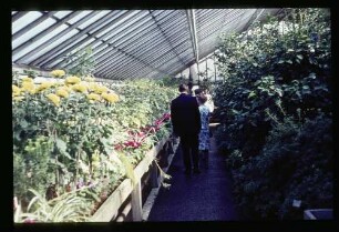 Botan. Garten 23.8.64.