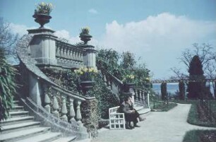 Insel Mainau. Schloßpark, Rosengarten, Freitreppe zum Gartenparterre