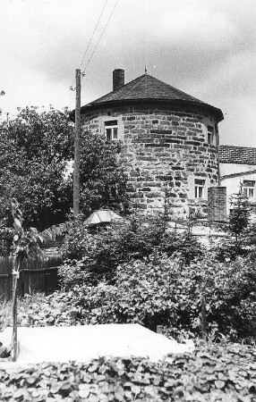 Beiersdorf. Turmholländer, Ansicht
