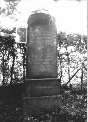 Grabstein 592 (Index: 100111437) Material: Granit Zustand: gut Maße HxBxT: 166x57x24 cm Beschreibung: Stele, getreppter Sockel, Segmentbogenabschluß Symbolik: Palmzweig Steinmetz: W. Hirth Bühl: Grabstein 592