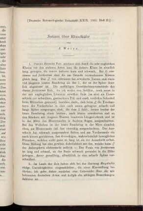 Notizen über Rüsselkäfer