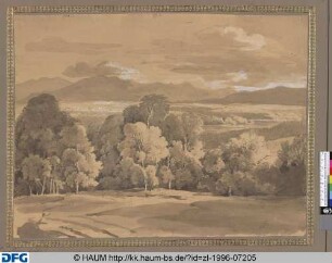 Waldlandschaft