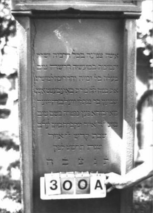 Grabstein 300 (Index: 99609937) Material: Sandstein Zustand: verwittert Maße HxBxT: 208x61x23 cm Beschreibung: Stele, Giebelaufsatz mit Verdachung, Seitenakrotere, Schriftfeld rechteckig eingetieft von Halbpfeilern begrenzt, getreppter Sockel Symbolik: florale Seitenakrotere: Grabstein 300A