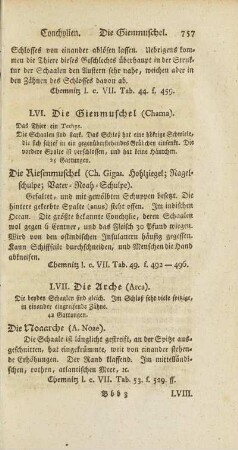 LVII. Die Arche