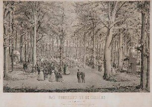 Das Turnfest zu Rendsburg (13./14.7.1862)