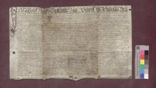 Die Brüder Fridlin und Hans Schneider zu Eichen leihen von der Kirchenpflege zu Schopfheim 50 Pfund Stäbler, verzinslich mit 2 Pfund 10 Schilling Stäbler.