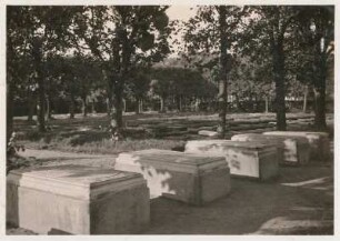 Grabsteine der Familie von Zinzendorf : Herrnhut. Friedhof der Brüdergemeine