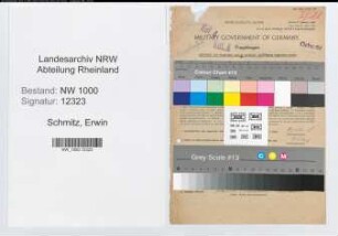 Entnazifizierung Erwin Schmitz, geb. 13.02.1910 (Bankangest.)