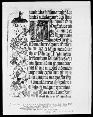 Psalterium aus Sankt Ulrich in Augsburg — Initiale C (onfitebor), darin Dankgebet des Königs vor dem Altar, Folio 134verso