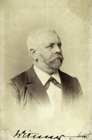 Wittmer, Heinrich August, Nationalliberale