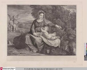 [Maria mit der Blume; Virgin and child]