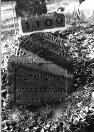 Grabstein 1100 (Index: 99753287) Material: Sandstein Zustand: leicht verwitt/Stele eingesunk/gekippt Maße HxBxT: 54x47x8 cm Beschreibung: eingezog. Rundbogenabschl. , rechteck. Schriftfeld m. rund eingezog. Ecken eingetieft Symbolik: Blüte: Grabstein 1100