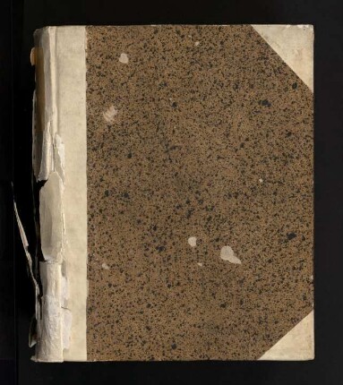 Specimen Inaugurale Iuridicum De Proxenetis