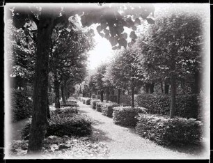 Schloßgarten; Orangerie