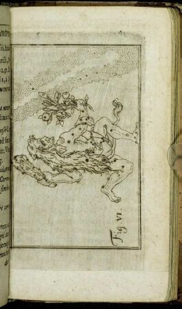 Fig. VI.