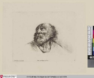 [Kopfstudie des Hl. Petrus, emporblickendend, im Dreiviertelprofil; Tête de Saint Pierre ...; Study of the head of St Peter ... ]