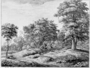 Hügelige Landschaft mit Bäumen und Zaunrest, Schafherde und schlafender Hirt (Nr. 6 einer Folge Landschaften, rechts unten numeriert)