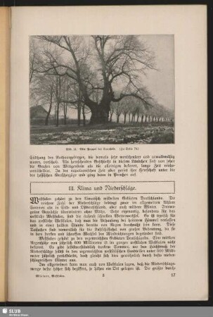 III. Klima und Niederschläge