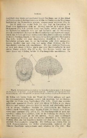 Lehrbuch der vergleichenden Entwicklungsgeschichte der wirbellosen Thiere, 1