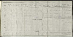 Auszug aus dem Schiffsregister.