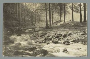 Morgens wenn die kommt ins Ilsetal : Harz. Ilsetal. Gebirgsbach Ilse