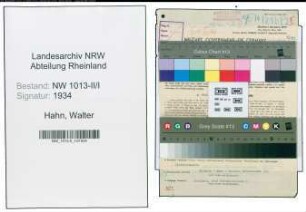 Entnazifizierung Walter Hahn , geb. 01.05.1902 (Ingenieur)