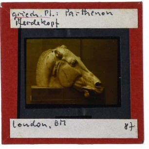 Pferdekop vom Wagen der Selene, Parthenon, Ostgiebel
