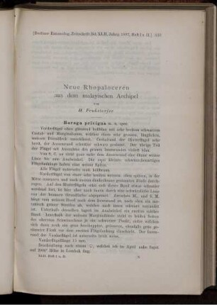 Neue Rhopalocerenaus dem malayischen Archipel
