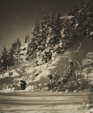 Winterlandschaft. Tief verschneiter Wald
