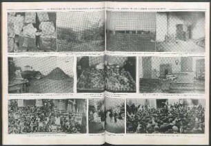 El resultado de las investigaciones realizadas por la policia con motivo de los últimos acontecimientos [Fotografías]