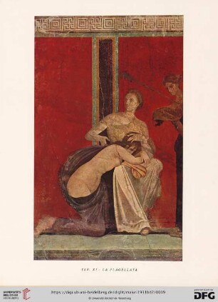 Tav. XI: La flagellata