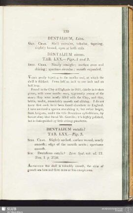 Dentalium nitens. Tab. LXX. - Figs. 1 and 2