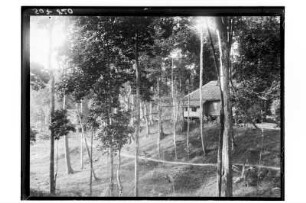 Rasthaus in Südthailand : Südthailand. Blick auf das Rasthaus Na Wong, 1912/1913