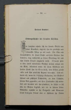 Drittes Kapitel. Lebensgeschichte des fremden Gesellen.