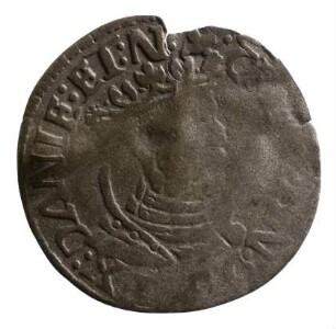 Münze, Denar, 1536