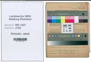 Entnazifizierung Jakob Scheulen , geb. 06.12.1890 (Buchdrucker)