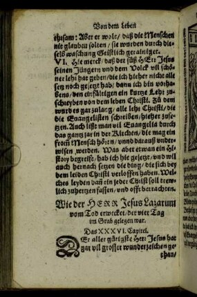 Das XXXVI. Capitel. - Das XL. Capitel.