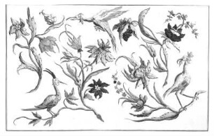 Blumen und Vögel : Blumen und Vögel. Illustration aus "Inventions Chinoises", Bd. XVIII, Blatt 17. Radierung, koloriert; 15 x 24 cm. Dresden: Kupferstich-Kabinett in B 1156, 2