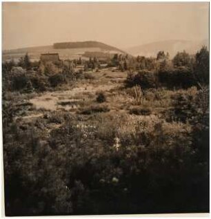 Garten Thiele, Goslar: Blick über den Garten