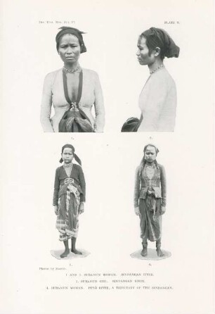 Plate V. 1 and 2. Subanun woman. Sindangan river. 3. Subanun girl. Sindangan river. 4. Subanun women. Peyó river, a tributary of the Sindangan