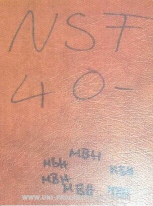 NSF 40-