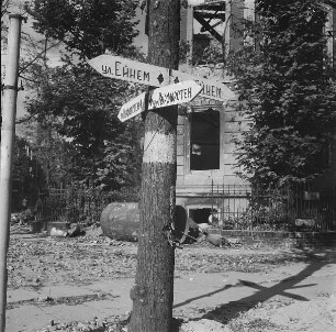 Berlin. Kurfürstenstraße/Einemstraße. Baum mit Straßenschildern in russischer Sprache