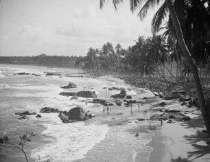 Küstenabschnitt auf Ceylon