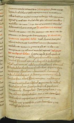 Antidotum egia (Nachtrag)